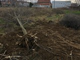 90. Foto galerija